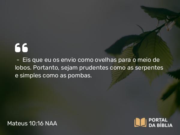 Mateus 10:16 NAA - — Eis que eu os envio como ovelhas para o meio de lobos. Portanto, sejam prudentes como as serpentes e simples como as pombas.