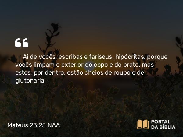 Mateus 23:25 NAA - — Ai de vocês, escribas e fariseus, hipócritas, porque vocês limpam o exterior do copo e do prato, mas estes, por dentro, estão cheios de roubo e de glutonaria!