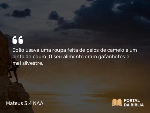 Mateus 3:4-5 NAA - João usava uma roupa feita de pelos de camelo e um cinto de couro. O seu alimento eram gafanhotos e mel silvestre.