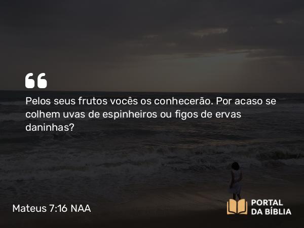 Mateus 7:16 NAA - Pelos seus frutos vocês os conhecerão. Por acaso se colhem uvas de espinheiros ou figos de ervas daninhas?