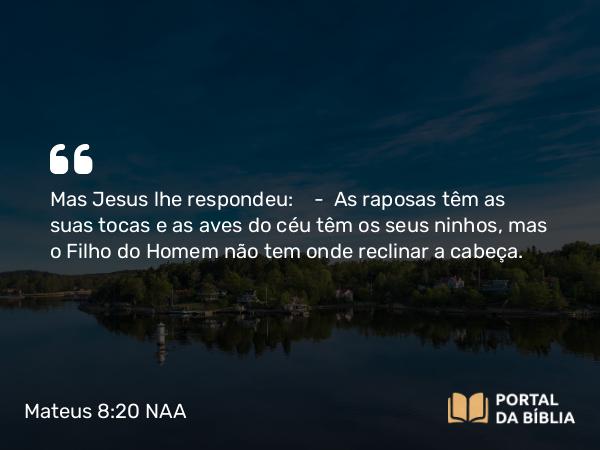 Mateus 8:20 NAA - Mas Jesus lhe respondeu: — As raposas têm as suas tocas e as aves do céu têm os seus ninhos, mas o Filho do Homem não tem onde reclinar a cabeça.