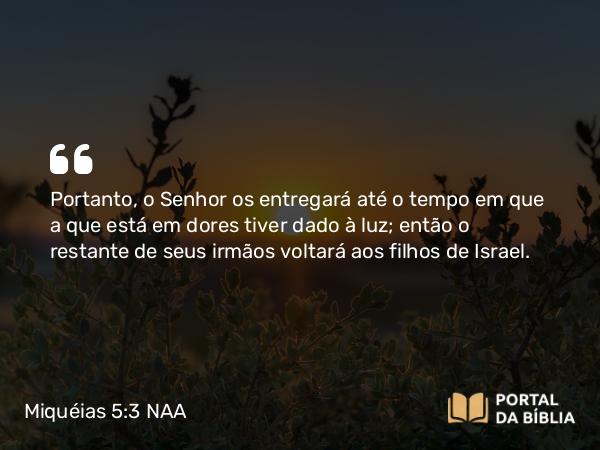 Miquéias 5:3 NAA - Portanto, o Senhor os entregará até o tempo em que a que está em dores tiver dado à luz; então o restante de seus irmãos voltará aos filhos de Israel.