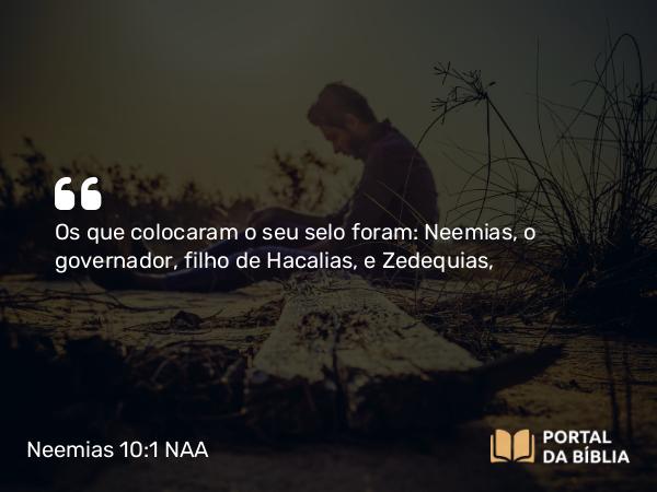 Neemias 10:1 NAA - Os que colocaram o seu selo foram: Neemias, o governador, filho de Hacalias, e Zedequias,