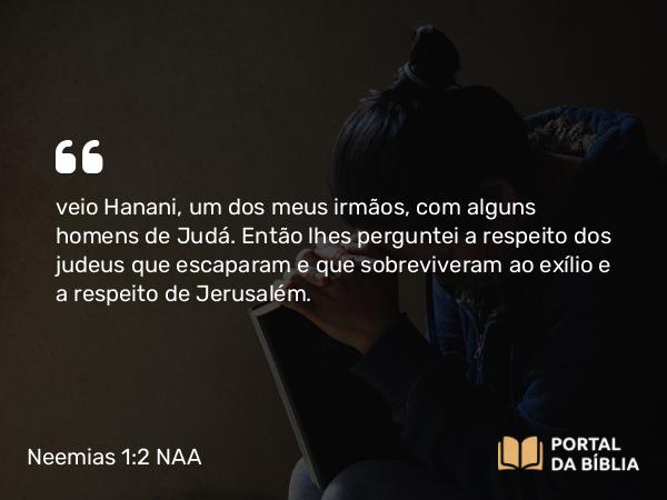 Neemias 1:2 NAA - veio Hanani, um dos meus irmãos, com alguns homens de Judá. Então lhes perguntei a respeito dos judeus que escaparam e que sobreviveram ao exílio e a respeito de Jerusalém.