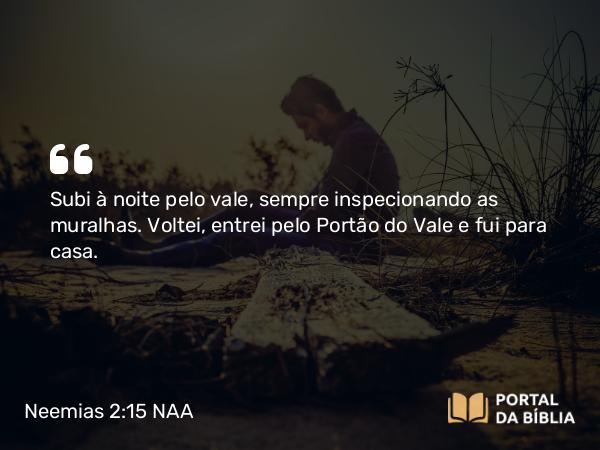 Neemias 2:15 NAA - Subi à noite pelo vale, sempre inspecionando as muralhas. Voltei, entrei pelo Portão do Vale e fui para casa.