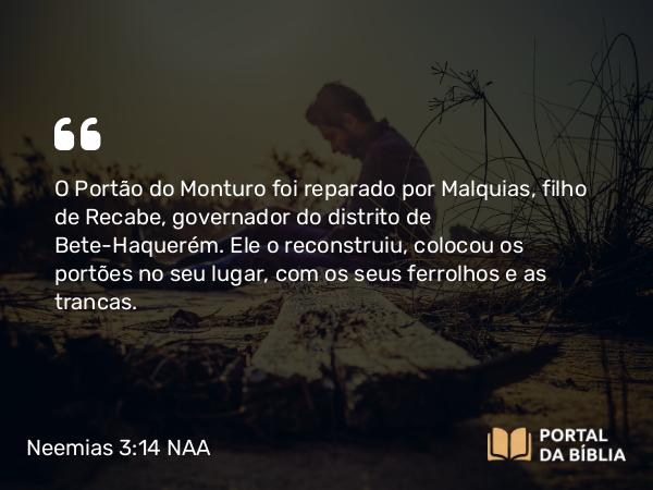 Neemias 3:14 NAA - O Portão do Monturo foi reparado por Malquias, filho de Recabe, governador do distrito de Bete-Haquerém. Ele o reconstruiu, colocou os portões no seu lugar, com os seus ferrolhos e as trancas.