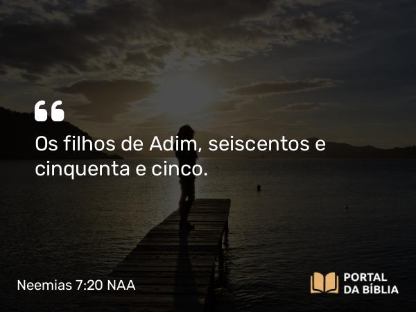 Neemias 7:20 NAA - Os filhos de Adim, seiscentos e cinquenta e cinco.