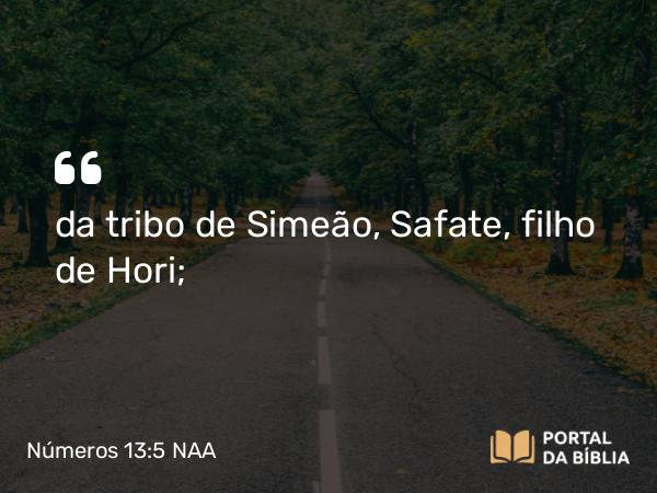 Números 13:5 NAA - da tribo de Simeão, Safate, filho de Hori;