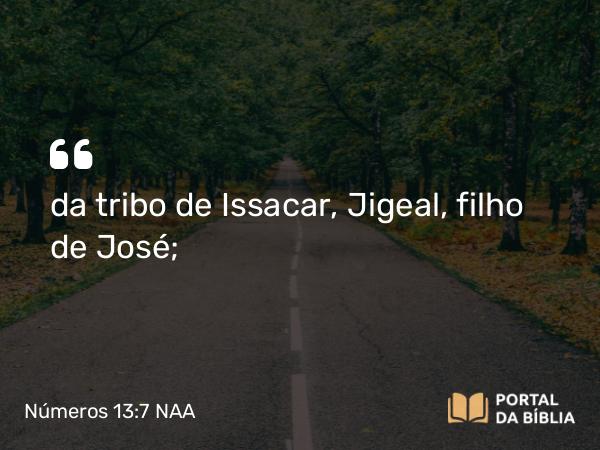 Números 13:7 NAA - da tribo de Issacar, Jigeal, filho de José;