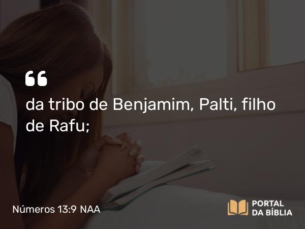 Números 13:9 NAA - da tribo de Benjamim, Palti, filho de Rafu;