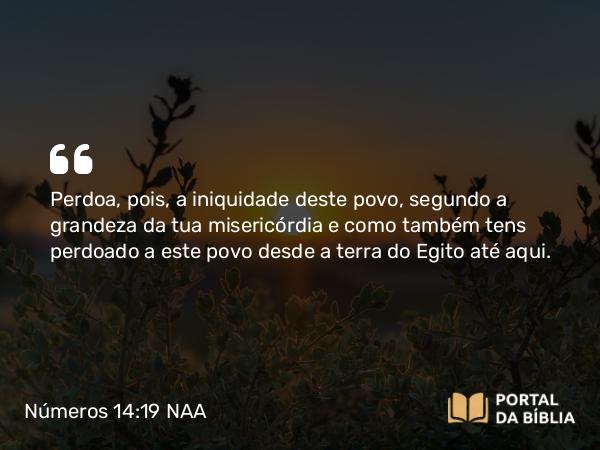 Números 14:19 NAA - Perdoa, pois, a iniquidade deste povo, segundo a grandeza da tua misericórdia e como também tens perdoado a este povo desde a terra do Egito até aqui.