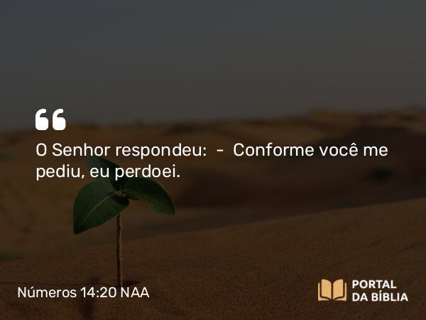 Números 14:20-38 NAA - O Senhor respondeu: — Conforme você me pediu, eu perdoei.