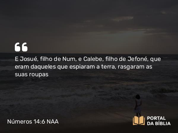 Números 14:6 NAA - E Josué, filho de Num, e Calebe, filho de Jefoné, que eram daqueles que espiaram a terra, rasgaram as suas roupas