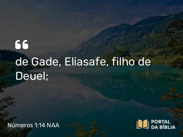 Números 1:14 NAA - de Gade, Eliasafe, filho de Deuel;