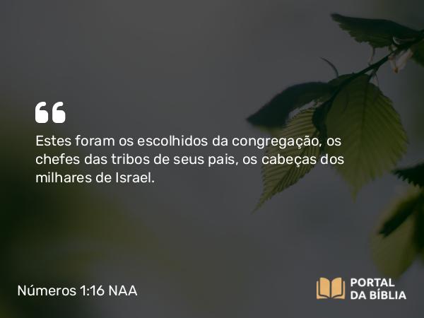 Números 1:16 NAA - Estes foram os escolhidos da congregação, os chefes das tribos de seus pais, os cabeças dos milhares de Israel.