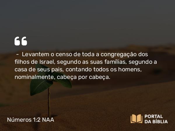 Números 1:2-3 NAA - — Levantem o censo de toda a congregação dos filhos de Israel, segundo as suas famílias, segundo a casa de seus pais, contando todos os homens, nominalmente, cabeça por cabeça.