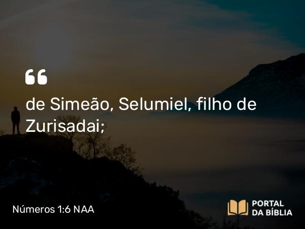 Números 1:6 NAA - de Simeão, Selumiel, filho de Zurisadai;