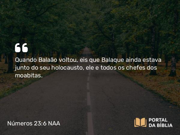 Números 23:6 NAA - Quando Balaão voltou, eis que Balaque ainda estava junto do seu holocausto, ele e todos os chefes dos moabitas.