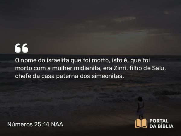 Números 25:14 NAA - O nome do israelita que foi morto, isto é, que foi morto com a mulher midianita, era Zinri, filho de Salu, chefe da casa paterna dos simeonitas.