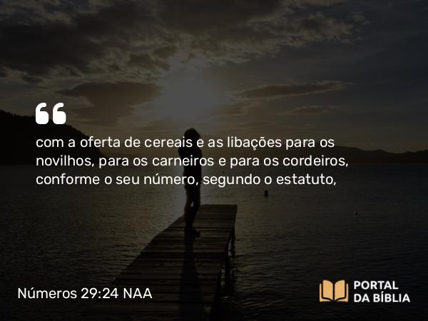 Números 29:24 NAA - com a oferta de cereais e as libações para os novilhos, para os carneiros e para os cordeiros, conforme o seu número, segundo o estatuto,