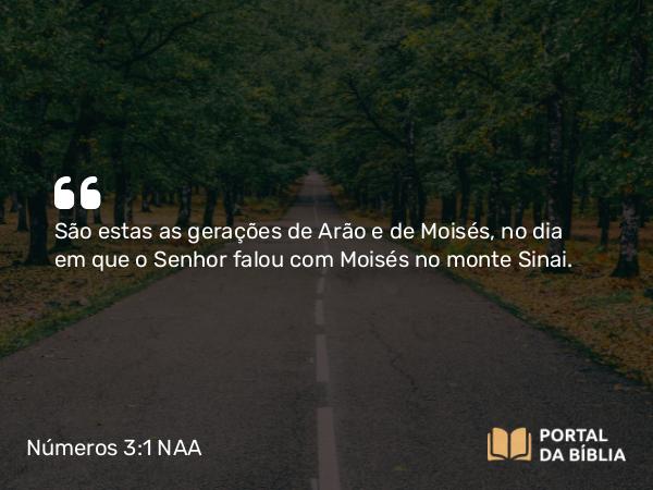 Números 3:1 NAA - São estas as gerações de Arão e de Moisés, no dia em que o Senhor falou com Moisés no monte Sinai.