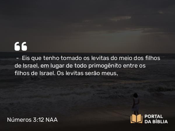 Números 3:12 NAA - — Eis que tenho tomado os levitas do meio dos filhos de Israel, em lugar de todo primogênito entre os filhos de Israel. Os levitas serão meus,