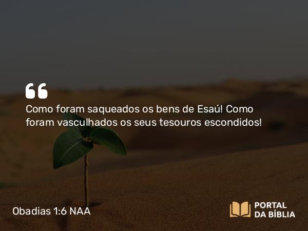 Obadias 1:6 NAA - Como foram saqueados os bens de Esaú! Como foram vasculhados os seus tesouros escondidos!