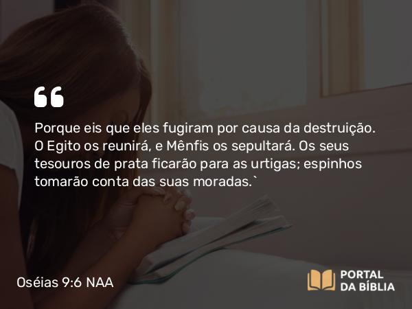 Oséias 9:6 NAA - Porque eis que eles fugiram por causa da destruição. O Egito os reunirá, e Mênfis os sepultará. Os seus tesouros de prata ficarão para as urtigas; espinhos tomarão conta das suas moradas.