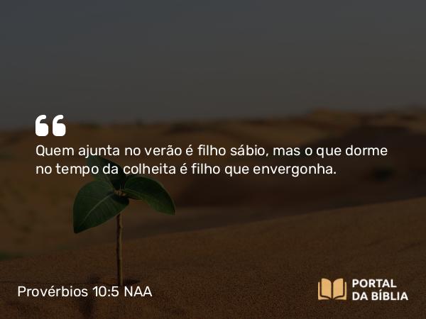 Provérbios 10:5 NAA - Quem ajunta no verão é filho sábio, mas o que dorme no tempo da colheita é filho que envergonha.