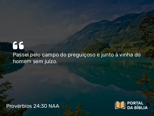 Provérbios 24:30 NAA - Passei pelo campo do preguiçoso e junto à vinha do homem sem juízo.