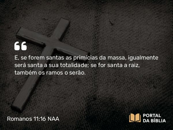 Romanos 11:16 NAA - E, se forem santas as primícias da massa, igualmente será santa a sua totalidade; se for santa a raiz, também os ramos o serão.