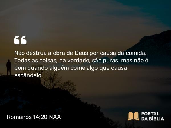 Romanos 14:20 NAA - Não destrua a obra de Deus por causa da comida. Todas as coisas, na verdade, são puras, mas não é bom quando alguém come algo que causa escândalo.