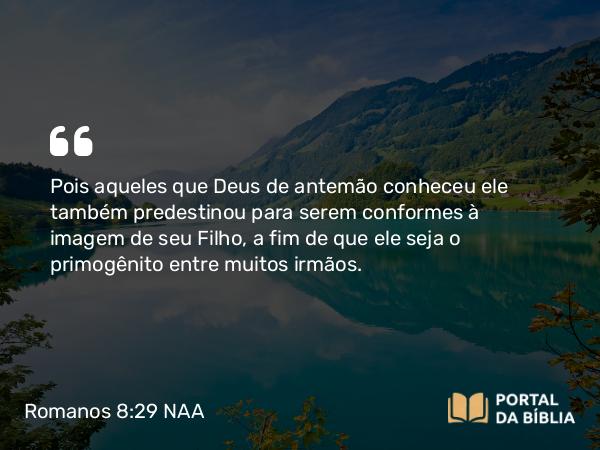 Romanos 8:29 NAA - Pois aqueles que Deus de antemão conheceu ele também predestinou para serem conformes à imagem de seu Filho, a fim de que ele seja o primogênito entre muitos irmãos.