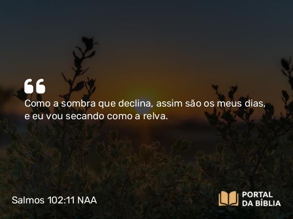 Salmos 102:11 NAA - Como a sombra que declina, assim são os meus dias, e eu vou secando como a relva.