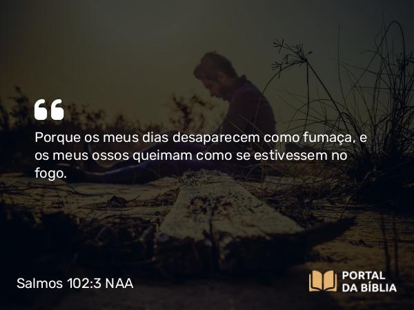 Salmos 102:3 NAA - Porque os meus dias desaparecem como fumaça, e os meus ossos queimam como se estivessem no fogo.