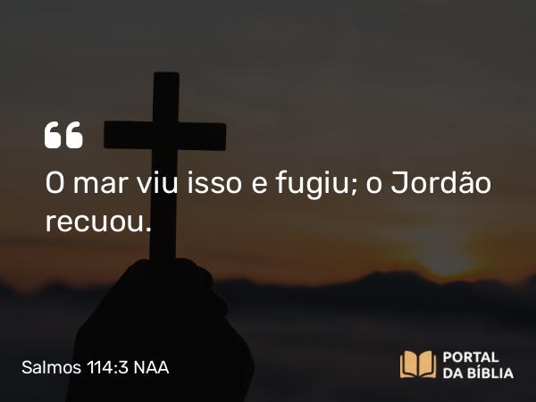 Salmos 114:3 NAA - O mar viu isso e fugiu; o Jordão recuou.