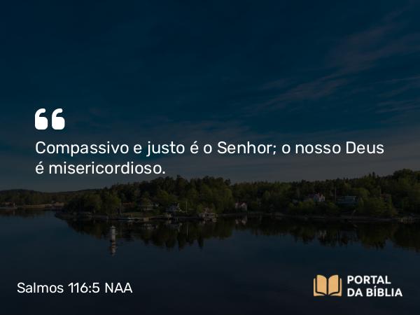 Salmos 116:5 NAA - Compassivo e justo é o Senhor; o nosso Deus é misericordioso.