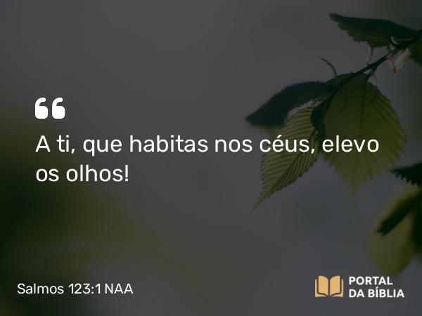 Salmos 123:1 NAA - A ti, que habitas nos céus, elevo os olhos!