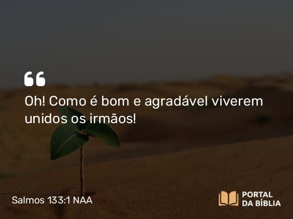 Salmos 133:1 NAA - Oh! Como é bom e agradável viverem unidos os irmãos!