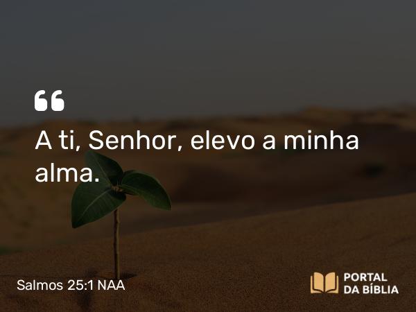 Salmos 25:1 NAA - A ti, Senhor, elevo a minha alma.