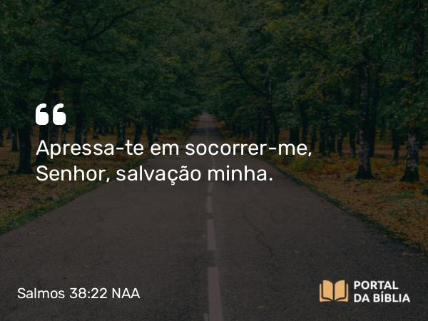 Salmos 38:22 NAA - Apressa-te em socorrer-me, Senhor, salvação minha.