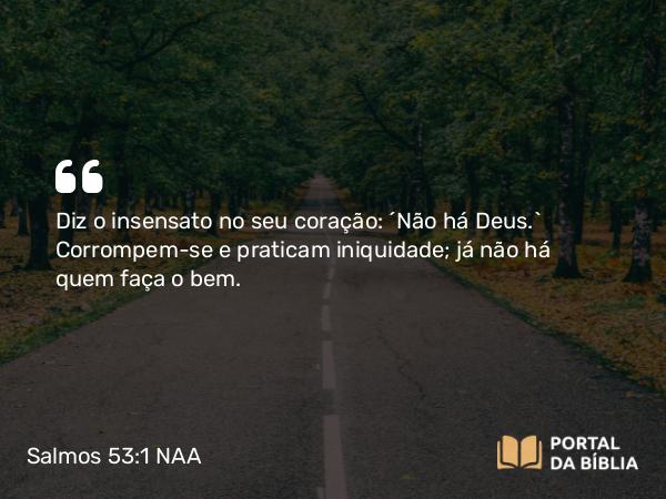 Salmos 53:1 NAA - Diz o insensato no seu coração: 