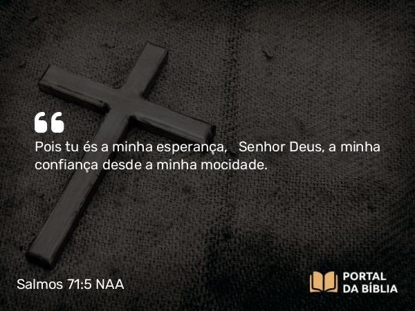 Salmos 71:5 NAA - Pois tu és a minha esperança, Senhor Deus, a minha confiança desde a minha mocidade.