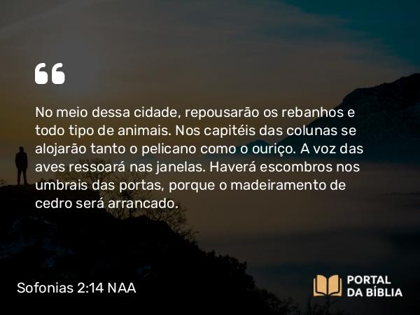 Sofonias 2:14-15 NAA - No meio dessa cidade, repousarão os rebanhos e todo tipo de animais. Nos capitéis das colunas se alojarão tanto o pelicano como o ouriço. A voz das aves ressoará nas janelas. Haverá escombros nos umbrais das portas, porque o madeiramento de cedro será arrancado.