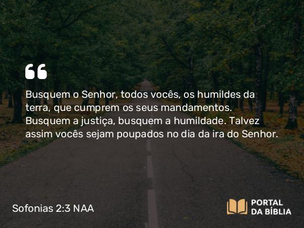 Sofonias 2:3 NAA - Busquem o Senhor, todos vocês, os humildes da terra, que cumprem os seus mandamentos. Busquem a justiça, busquem a humildade. Talvez assim vocês sejam poupados no dia da ira do Senhor.