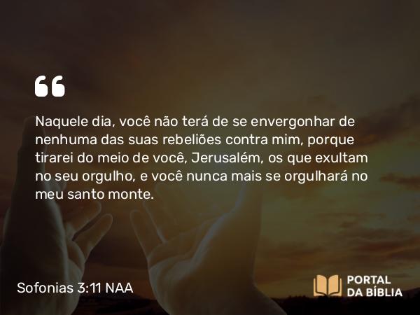 Sofonias 3:11 NAA - Naquele dia, você não terá de se envergonhar de nenhuma das suas rebeliões contra mim, porque tirarei do meio de você, Jerusalém, os que exultam no seu orgulho, e você nunca mais se orgulhará no meu santo monte.