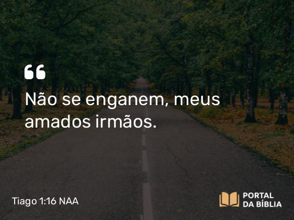 Tiago 1:16 NAA - Não se enganem, meus amados irmãos.