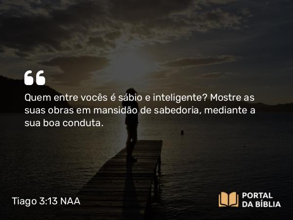 Tiago 3:13 NAA - Quem entre vocês é sábio e inteligente? Mostre as suas obras em mansidão de sabedoria, mediante a sua boa conduta.