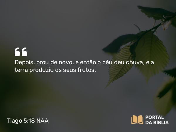 Tiago 5:18 NAA - Depois, orou de novo, e então o céu deu chuva, e a terra produziu os seus frutos.