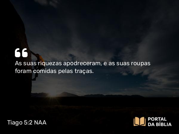 Tiago 5:2 NAA - As suas riquezas apodreceram, e as suas roupas foram comidas pelas traças.